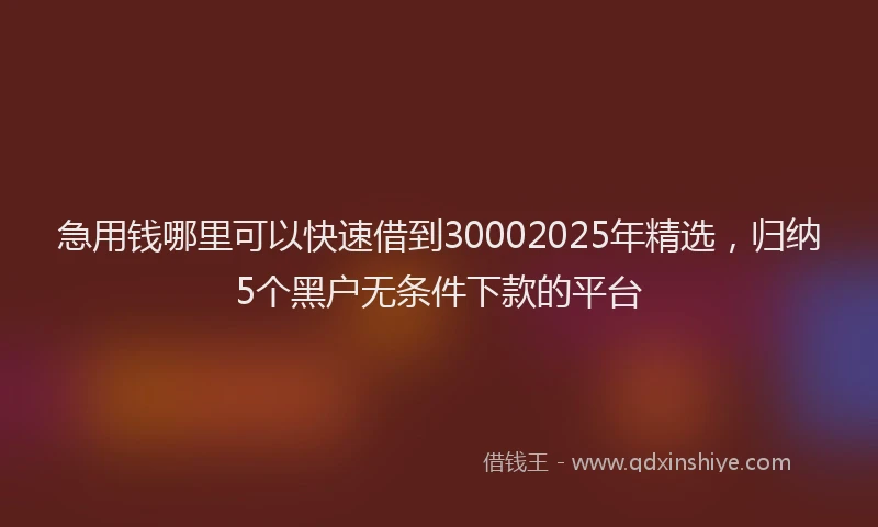 急用钱哪里可以快速借到30002025年精选，归纳5个黑户无条件下款的平台