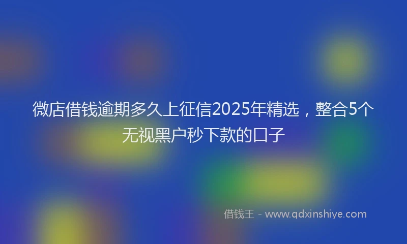 微店借钱逾期多久上征信2025年精选，整合5个无视黑户秒下款的口子