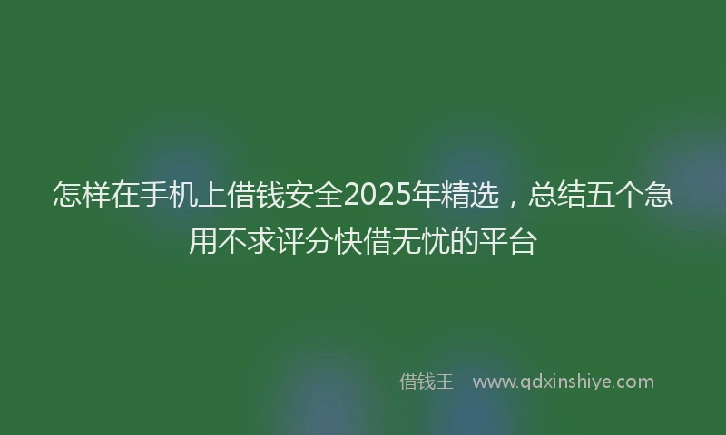 怎样在手机上借钱安全2025年精选，总结五个急用不求评分快借无忧的平台
