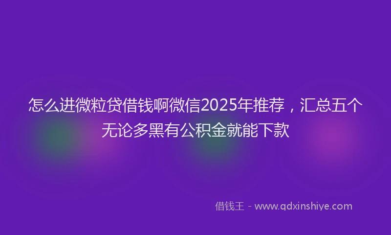 怎么进微粒贷借钱啊微信2025年推荐，汇总五个无论多黑有公积金就能下款