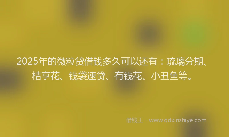 2025年的微粒贷借钱多久可以还有：琉璃分期、桔享花、钱袋速贷、有钱花、小丑鱼等。