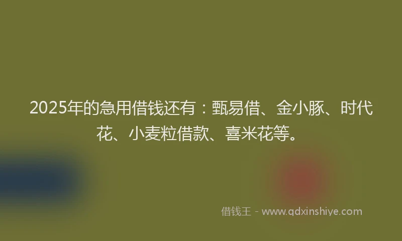 2025年的急用借钱还有：甄易借、金小豚、时代花、小麦粒借款、喜米花等。