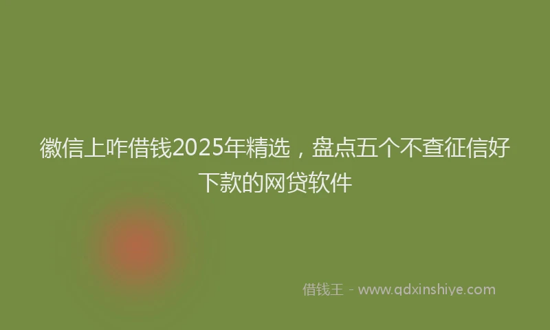 徽信上咋借钱2025年精选，盘点五个不查征信好下款的网贷软件