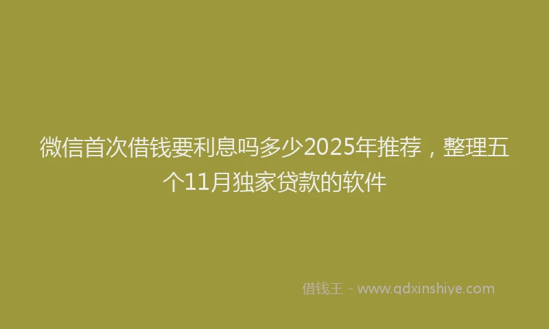 微信首次借钱要利息吗多少2025年推荐，整理五个11月独家贷款的软件