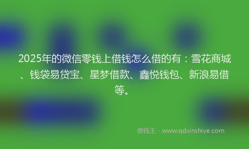 2025年的微信零钱上借钱怎么借的有：雪花商城、钱袋易贷宝、星梦借款、鑫悦钱包、新浪易借等。