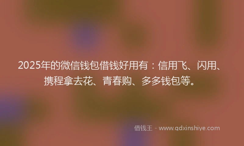 2025年的微信钱包借钱好用有：信用飞、闪用、携程拿去花、青春购、多多钱包等。
