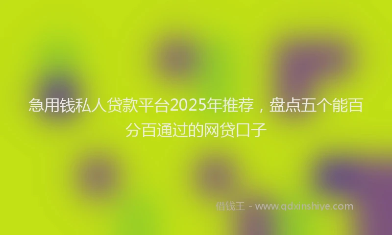 急用钱私人贷款平台2025年推荐，盘点五个能百分百通过的网贷口子