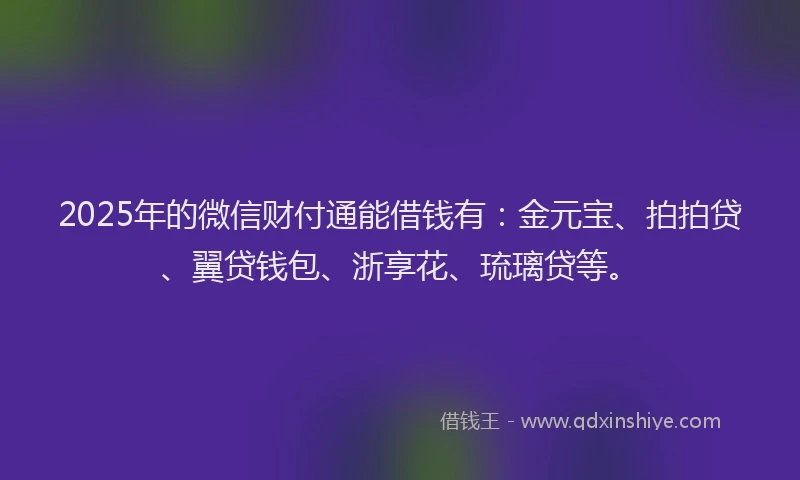 2025年的微信财付通能借钱有：金元宝、拍拍贷、翼贷钱包、浙享花、琉璃贷等。
