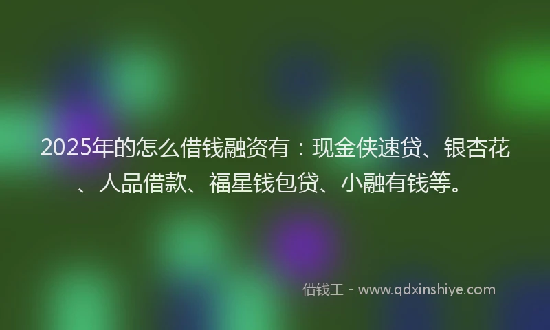 2025年的怎么借钱融资有：现金侠速贷、银杏花、人品借款、福星钱包贷、小融有钱等。