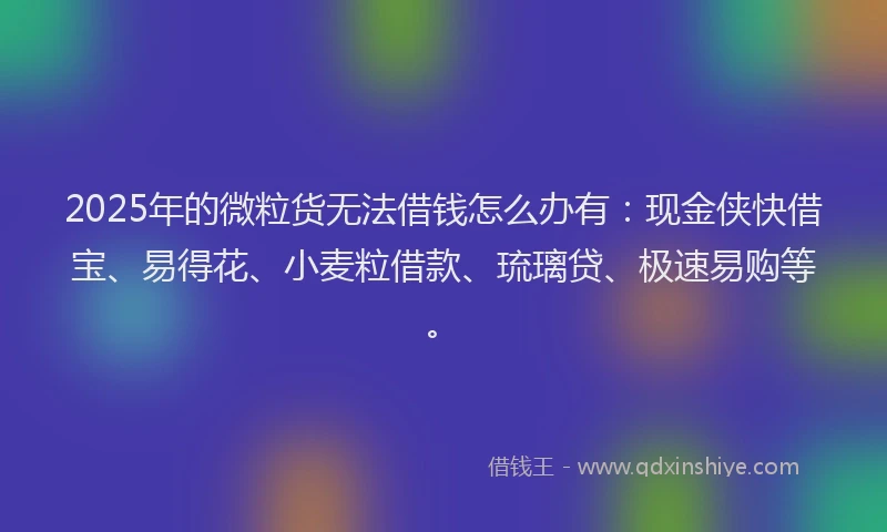 2025年的微粒货无法借钱怎么办有：现金侠快借宝、易得花、小麦粒借款、琉璃贷、极速易购等。