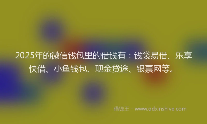 2025年的微信钱包里的借钱有：钱袋易借、乐享快借、小鱼钱包、现金贷途、银票网等。