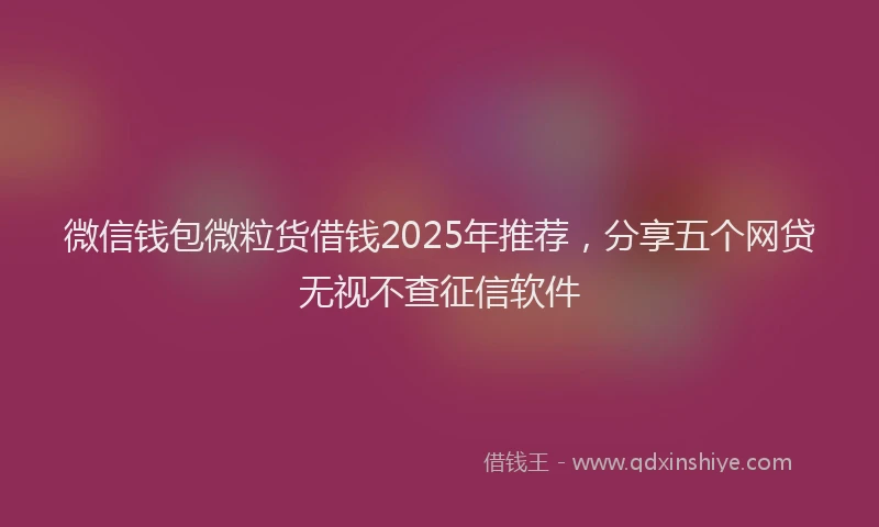 微信钱包微粒货借钱2025年推荐，分享五个网贷无视不查征信软件
