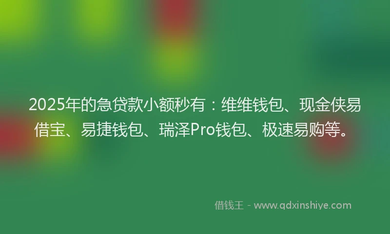 2025年的急贷款小额秒有：维维钱包、现金侠易借宝、易捷钱包、瑞泽Pro钱包、极速易购等。