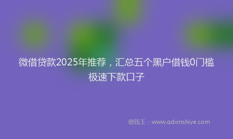 微借贷款2025年推荐，汇总五个黑户借钱0门槛极速下款口子