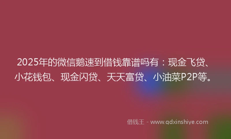 2025年的微信鹅速到借钱靠谱吗有：现金飞贷、小花钱包、现金闪贷、天天富贷、小油菜P2P等。