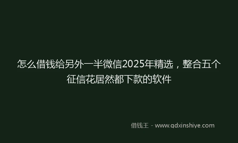 怎么借钱给另外一半微信2025年精选，整合五个征信花居然都下款的软件