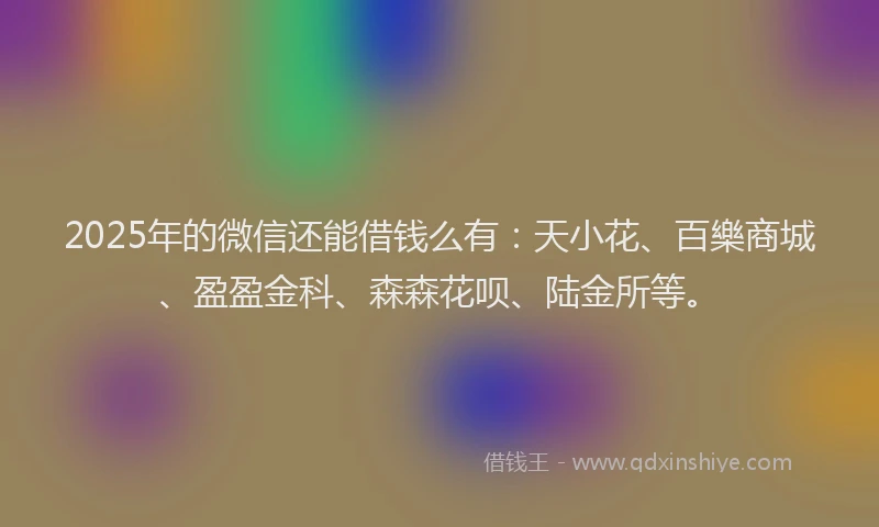 2025年的微信还能借钱么有：天小花、百樂商城、盈盈金科、森森花呗、陆金所等。