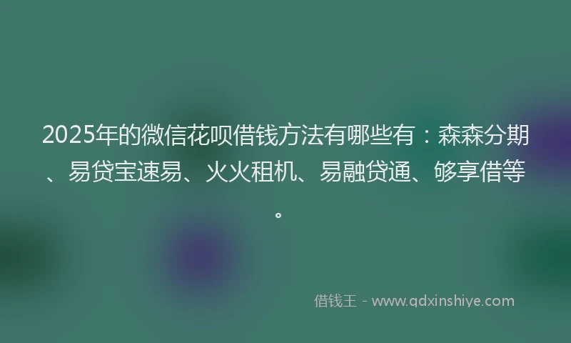 2025年的微信花呗借钱方法有哪些有：森森分期、易贷宝速易、火火租机、易融贷通、够享借等。