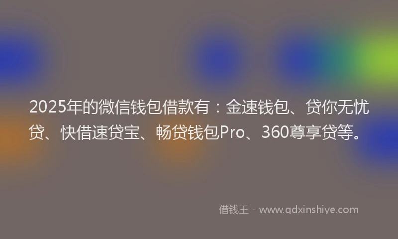 2025年的微信钱包借款有：金速钱包、贷你无忧贷、快借速贷宝、畅贷钱包Pro、360尊享贷等。