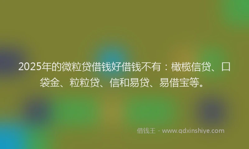2025年的微粒贷借钱好借钱不有:橄榄信贷、口袋金、粒粒贷、信和易贷、易借宝等。