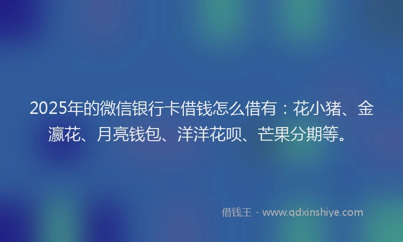 2025年的微信银行卡借钱怎么借有：花小猪、金瀛花、月亮钱包、洋洋花呗、芒果分期等。