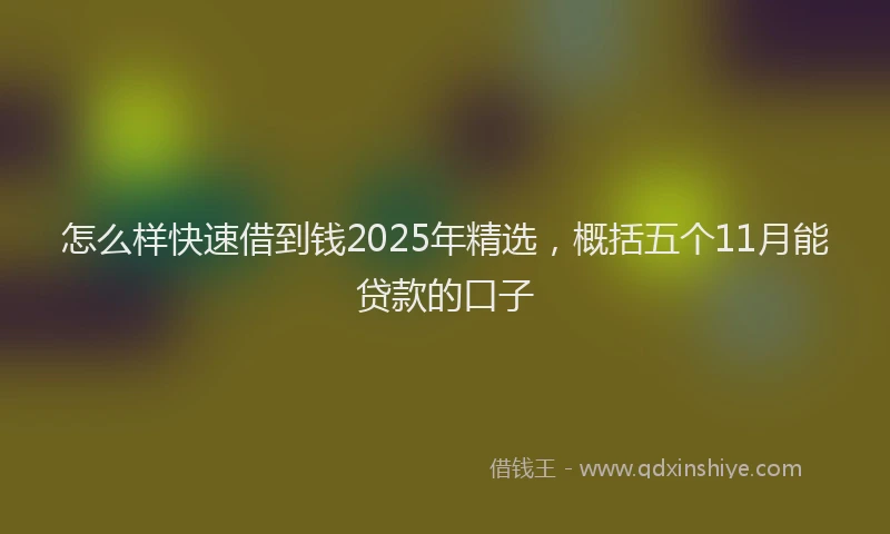 怎么样快速借到钱2025年精选，概括五个11月能贷款的口子