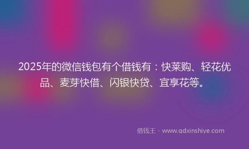 2025年的微信钱包有个借钱有：快莱购、轻花优品、麦芽快借、闪银快贷、宜享花等。
