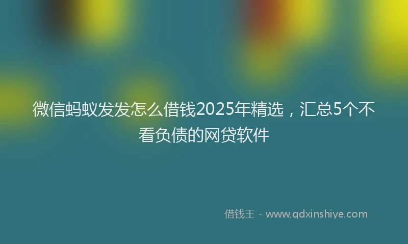 微信蚂蚁发发怎么借钱2025年精选，汇总5个不看负债的网贷软件