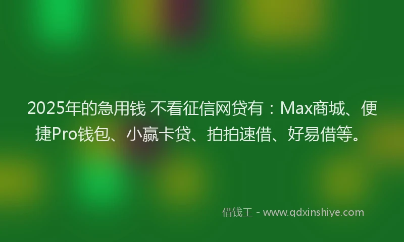 2025年的急用钱 不看征信网贷有：Max商城、便捷Pro钱包、小赢卡贷、拍拍速借、好易借等。