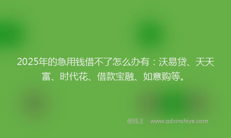 2025年的急用钱借不了怎么办有：沃易贷、天天富、时代花、借款宝融、如意购等。