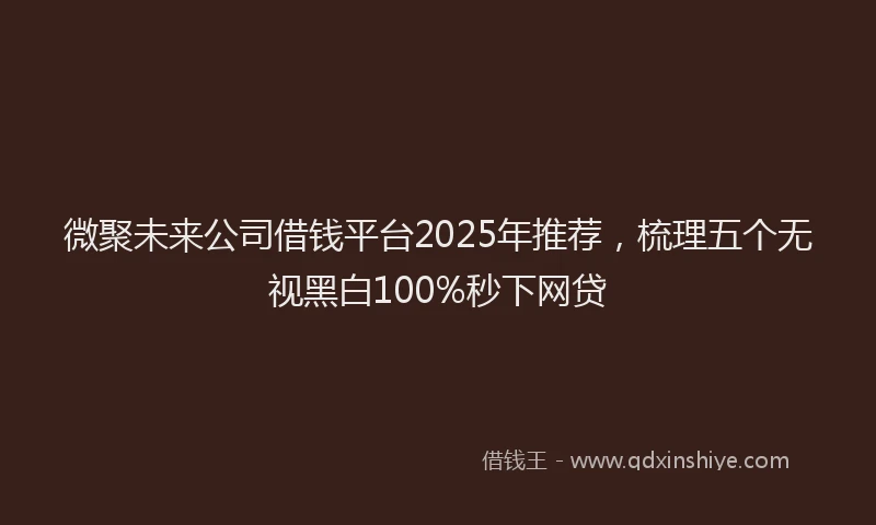 微聚未来公司借钱平台2025年推荐，梳理五个无视黑白100%秒下网贷