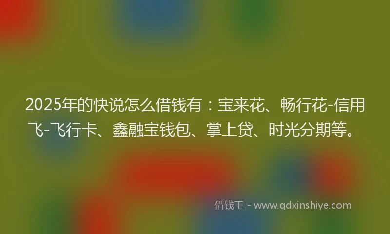 2025年的快说怎么借钱有：宝来花、畅行花-信用飞-飞行卡、鑫融宝钱包、掌上贷、时光分期等。