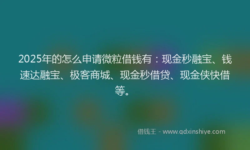 2025年的怎么申请微粒借钱有：现金秒融宝、钱速达融宝、极客商城、现金秒借贷、现金侠快借等。