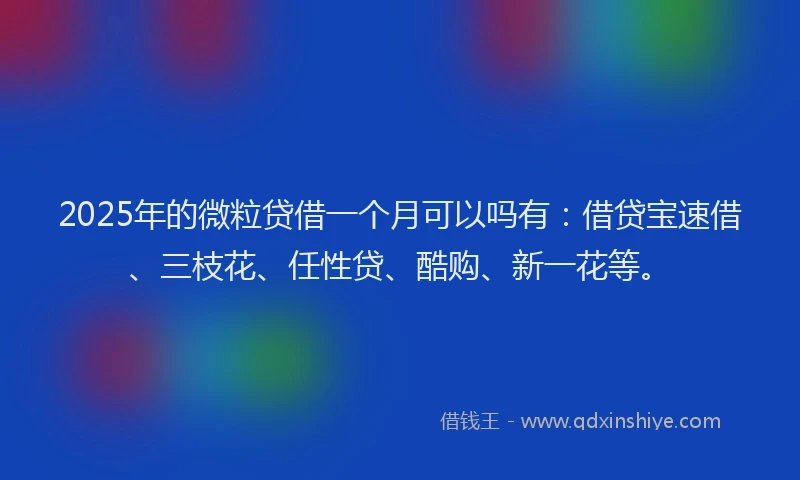 2025年的微粒贷借一个月可以吗有：借贷宝速借、三枝花、任性贷、酷购、新一花等。