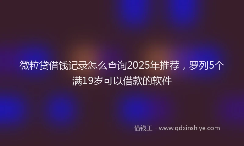微粒贷借钱记录怎么查询2025年推荐，罗列5个满19岁可以借款的软件