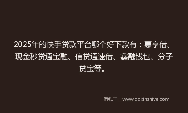 2025年的快手贷款平台哪个好下款有：惠享借、现金秒贷通宝融、信贷通速借、鑫融钱包、分子贷宝等。