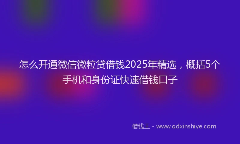 怎么开通微信微粒贷借钱2025年精选，概括5个手机和身份证快速借钱口子