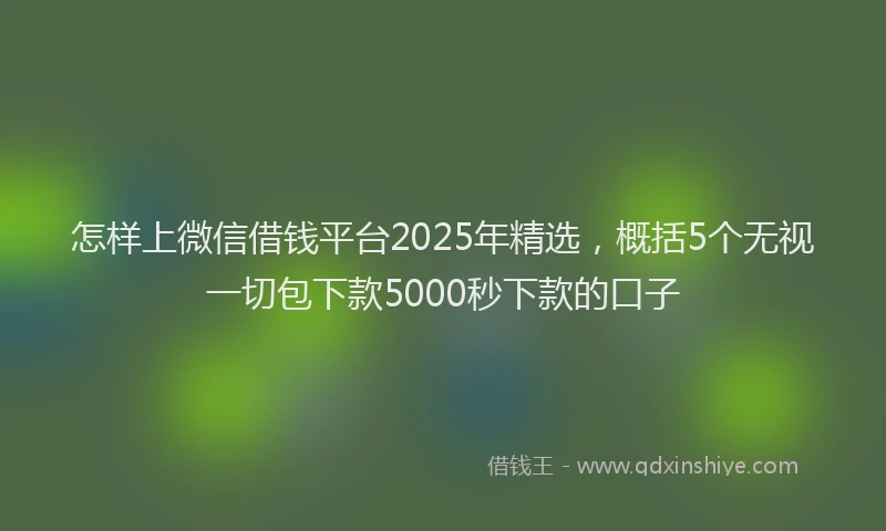 怎样上微信借钱平台2025年精选，概括5个无视一切包下款5000秒下款的口子