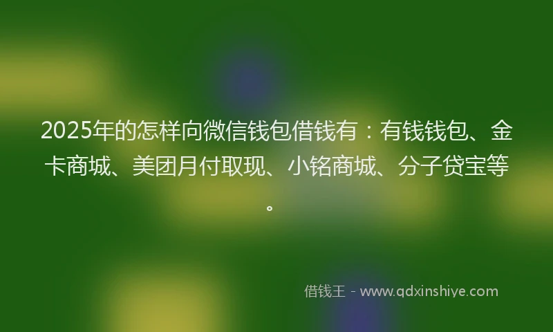 2025年的怎样向微信钱包借钱有：有钱钱包、金卡商城、美团月付取现、小铭商城、分子贷宝等。