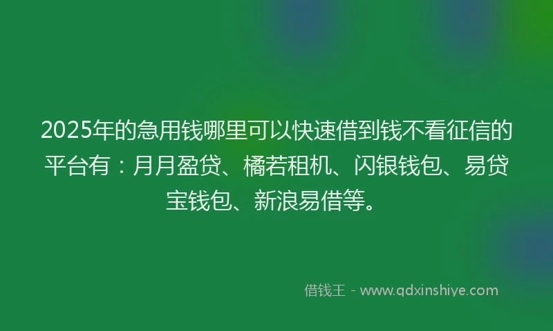 2025年的急用钱哪里可以快速借到钱不看征信的平台有：月月盈贷、橘若租机、闪银钱包、易贷宝钱包、新浪易借等。