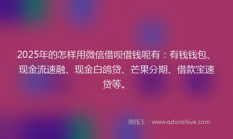2025年的怎样用微信借呗借钱呢有：有钱钱包、现金流速融、现金白鸽贷、芒果分期、借款宝速贷等。