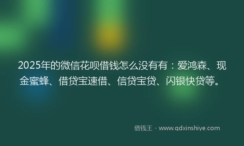 2025年的微信花呗借钱怎么没有有：爱鸿森、现金蜜蜂、借贷宝速借、信贷宝贷、闪银快贷等。