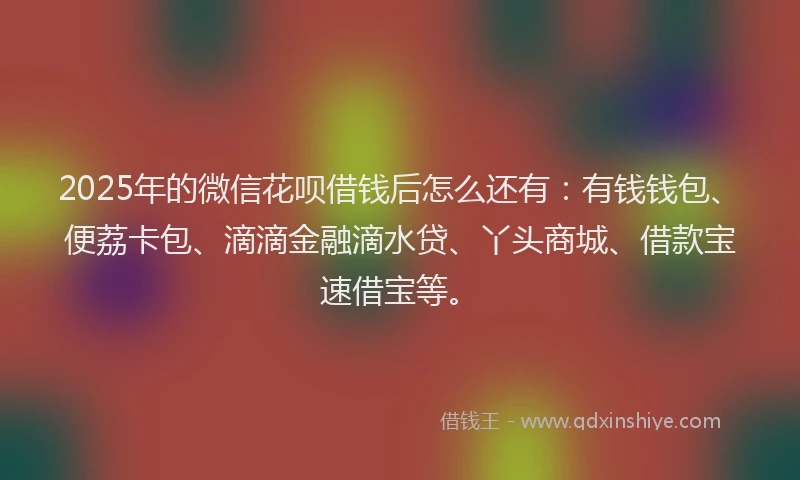 2025年的微信花呗借钱后怎么还有：有钱钱包、便荔卡包、滴滴金融滴水贷、丫头商城、借款宝速借宝等。