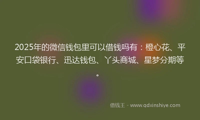 2025年的微信钱包里可以借钱吗有：橙心花、平安口袋银行、迅达钱包、丫头商城、星梦分期等。