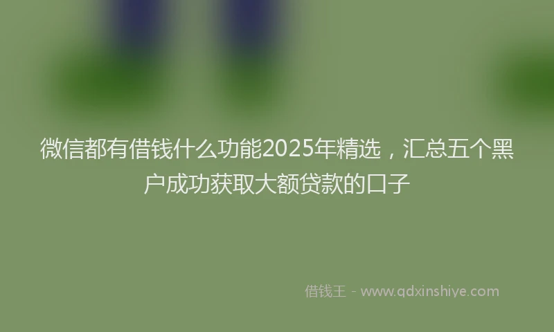 微信都有借钱什么功能2025年精选，汇总五个黑户成功获取大额贷款的口子
