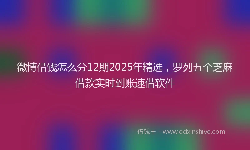 微博借钱怎么分12期2025年精选，罗列五个芝麻借款实时到账速借软件