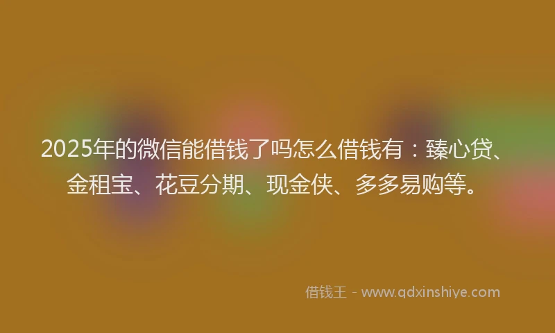 2025年的微信能借钱了吗怎么借钱有：臻心贷、金租宝、花豆分期、现金侠、多多易购等。