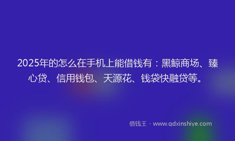 2025年的怎么在手机上能借钱有：黑鲸商场、臻心贷、信用钱包、天源花、钱袋快融贷等。