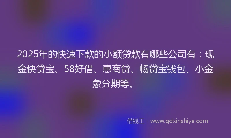 2025年的快速下款的小额贷款有哪些公司有：现金快贷宝、58好借、惠商贷、畅贷宝钱包、小金象分期等。