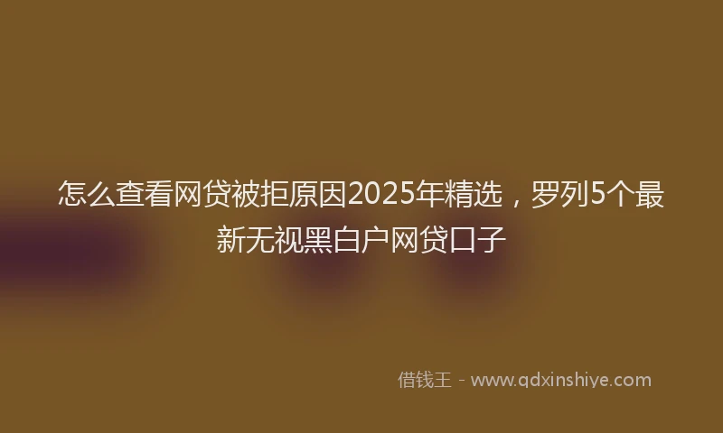 怎么查看网贷被拒原因2025年精选，罗列5个最新无视黑白户网贷口子
